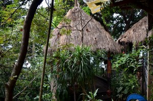 Tropical Spice Garden, Penang, Cafe
