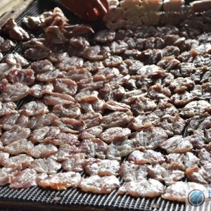 Dried Fish Factory Pangkor Island