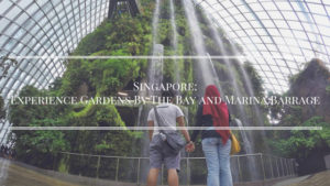 Singapore Attraction